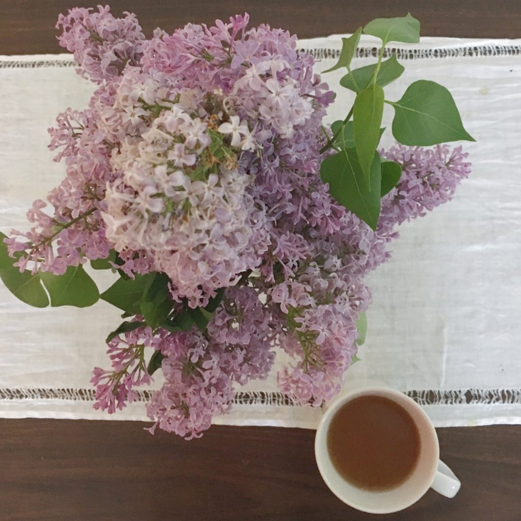 lilacs and tea - KatharineSchellman.com - little things, lately