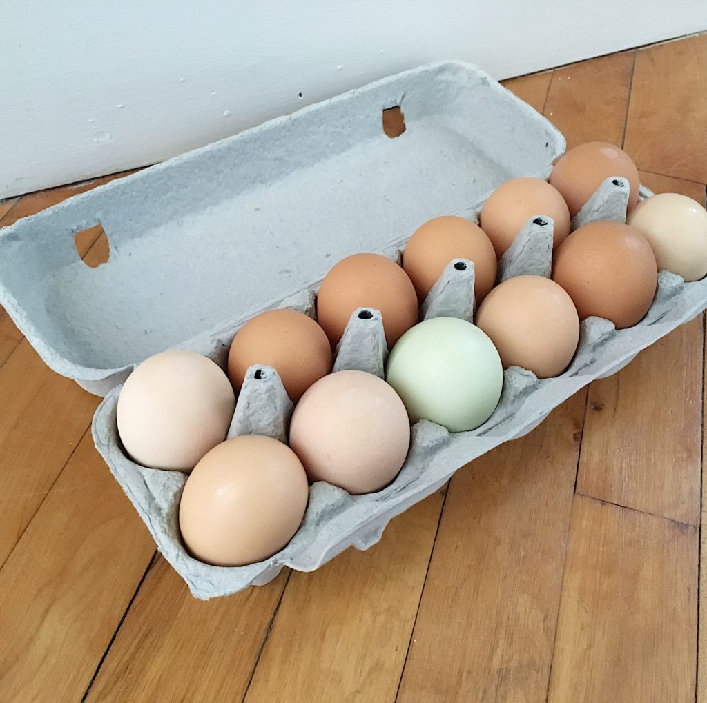 farmers market eggs - KatharineSchellman.com - little things, lately